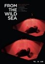 From the Wild Sea (2021)