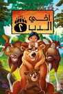 أخي الدب 2