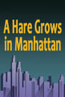 Poster van A Hare Grows in Manhattan