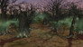 The Wizened Woods
