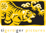 Tiger Tiger Pictures Tiger Tiger Pictures