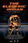 Indiani Elektrik