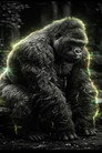 Amy the Gorilla