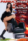 Parrucchiere di provincia