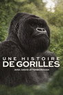 Une histoire de gorilles avec David Attenborough Voirfilms