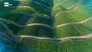 The New Agriculture