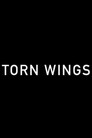 Torn Wings