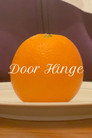 Door Hinge