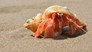 Seashore