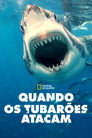 Temporada 5