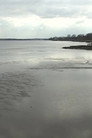 Chesapeake Views from Late February and Early April