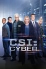 CSI: Кіберпростір (2015)