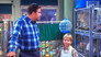 The Pet Shop