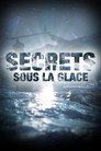 Secrets in the Ice