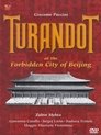 Puccini: Turandot at the Forbidden City of Beijing