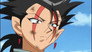Farewell X Zone
