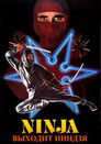 Постер: Входит ниндзя