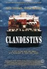 Clandestins