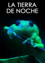 La Tierra de noche