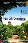 Les citronniers