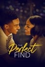 The Perfect Find (2023) Dual Audio [Hindi & English] Full Movie Download | WEB-DL 480p 720p 1080p