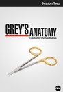 Grey's Anatomy - seizoen 2