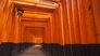 Fushimi Inari Taisha: A Manifestation of Prayers to the Deities on the Mountain