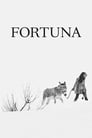 Image Fortuna