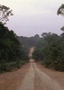 Travelling Amazonia