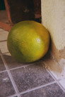 Laranja