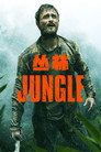 丛林