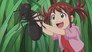 Insect world survival (1)