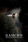 Plakat for 'Gaucho'