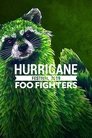 Foo Fighters: Hurricane Festival 2019