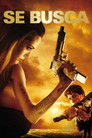 Se Busca