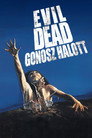 (HD). Evil Dead – Gonosz Halott Teljes Film Magyarul (1981) Ingyen Online