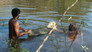 Image Largados e Pelados Brasil