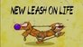 New Leash on Life