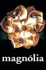 Poster de Magnólia