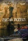 הולכת שבעה