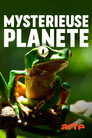Mystérieuse planète (2020) - Affiche