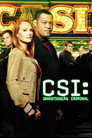 Temporada 10