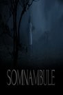 Somnambule