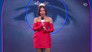 Big Brother 16x19