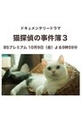 猫探偵の事件簿