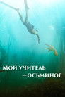 Постер: My Octopus Teacher