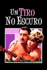 Um Tiro no Escuro