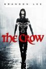 16-The Crow