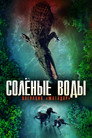 Постер: Солёные воды: Операция "Матадор"