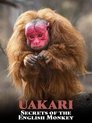 Plakat for 'Uakari: Secrets of the English Monkey'